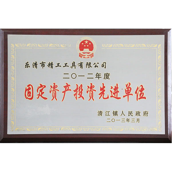 固定资产投资先进单位