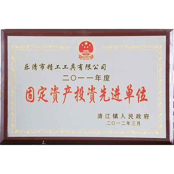 固定资产投资先进单位